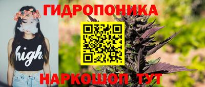трава Балахна