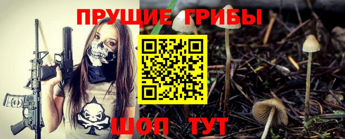 Дербент  Галлюциногенные грибы Psilocybine cubensis  Вход с VPN  Псилоцибиновые грибы GOLDEN TEACHER 
